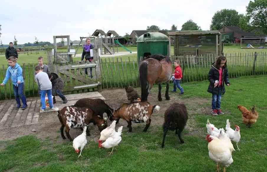 Bezoek een kinderboerderij met de kinderen